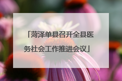 菏泽单县召开全县医务社会工作推进会议