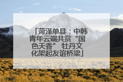 菏泽单县：中韩青年云端共赏“国色天香” 牡丹文化架起友谊桥梁