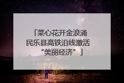 菜心花开金浪涌 民乐县高铁沿线激活“美丽经济”