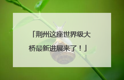 荆州这座世界级大桥最新进展来了！