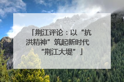 荆江评论：以“抗洪精神”筑起新时代“荆江大堤”