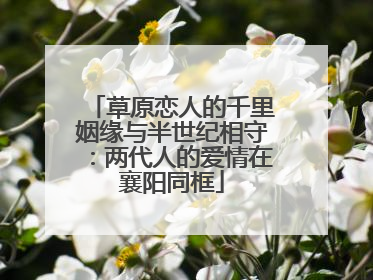 草原恋人的千里姻缘与半世纪相守：两代人的爱情在襄阳同框