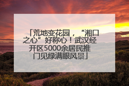 荒地变花园，“湘口之心”好称心！武汉经开区5000余居民推门见绿满眼风景
