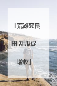 荒滩变良田 甜瓜促增收