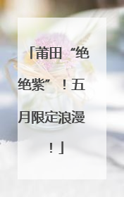 莆田“绝绝紫”！五月限定浪漫！