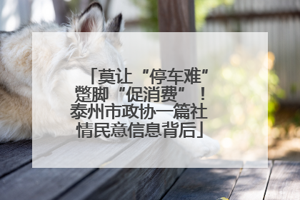 莫让“停车难”蹩脚“促消费”！泰州市政协一篇社情民意信息背后