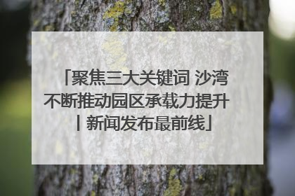 聚焦三大关键词 沙湾不断推动园区承载力提升丨新闻发布最前线