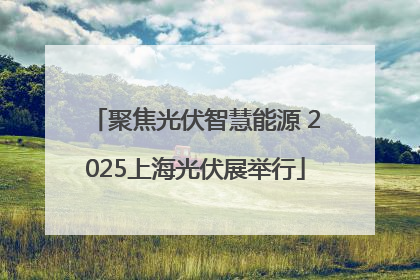 聚焦光伏智慧能源 2025上海光伏展举行
