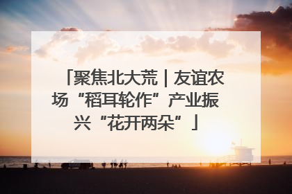 聚焦北大荒｜友谊农场“稻耳轮作”产业振兴“花开两朵”