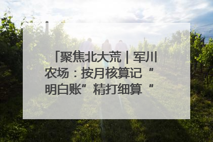 聚焦北大荒｜军川农场：按月核算记“明白账”精打细算“过紧日子”