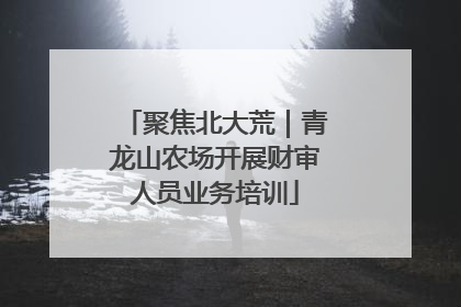 聚焦北大荒｜青龙山农场开展财审人员业务培训