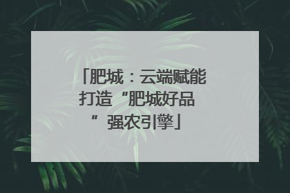 肥城：云端赋能 打造“肥城好品”强农引擎