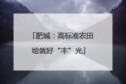 肥城：高标准农田绘就好“丰”光