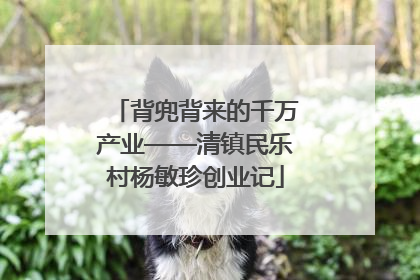 背兜背来的千万产业——清镇民乐村杨敏珍创业记