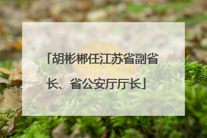 胡彬郴任江苏省副省长、省公安厅厅长