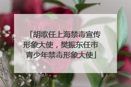 胡歌任上海禁毒宣传形象大使，樊振东任市青少年禁毒形象大使
