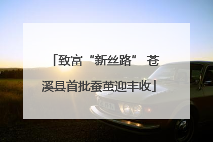 致富“新丝路” 苍溪县首批蚕茧迎丰收
