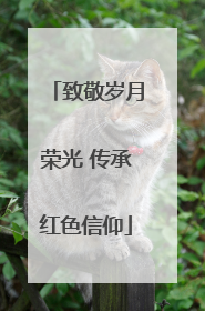 致敬岁月荣光 传承红色信仰