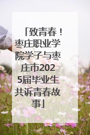 致青春！枣庄职业学院学子与枣庄市2025届毕业生共诉青春故事