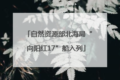 自然资源部北海局“向阳红17”船入列