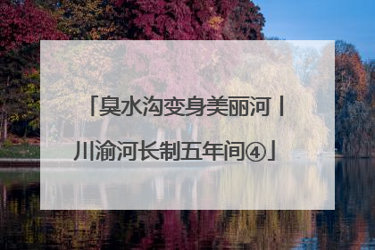 臭水沟变身美丽河丨川渝河长制五年间④