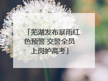 芜湖发布暴雨红色预警 交警全员上岗护高考
