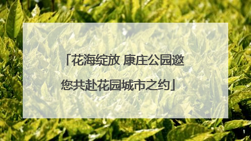 花海绽放 康庄公园邀您共赴花园城市之约