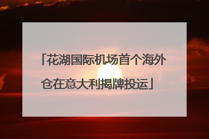 花湖国际机场首个海外仓在意大利揭牌投运