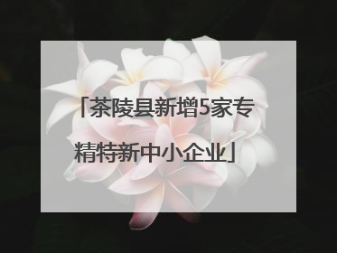 茶陵县新增5家专精特新中小企业