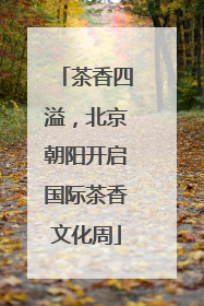 茶香四溢，北京朝阳开启国际茶香文化周