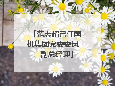 范志超已任国机集团党委委员、副总经理