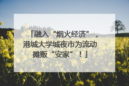 融入“烟火经济”，港城大学城夜市为流动摊贩“安家”！