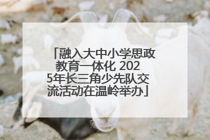 融入大中小学思政教育一体化 2025年长三角少先队交流活动在温岭举办