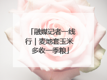 融媒记者一线行｜麦地套玉米 多收一季粮