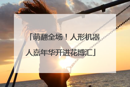 萌翻全场！人形机器人嘉年华开进花博汇