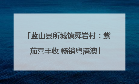 蓝山县所城镇舜岩村：紫茄喜丰收 畅销粤港澳
