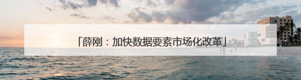薛刚：加快数据要素市场化改革