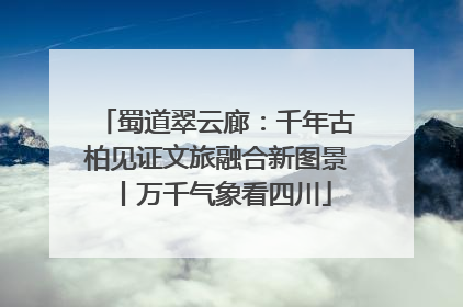 蜀道翠云廊：千年古柏见证文旅融合新图景丨万千气象看四川