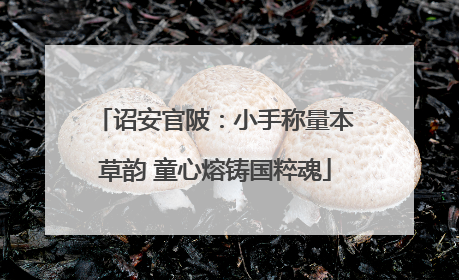 诏安官陂：小手称量本草韵 童心熔铸国粹魂