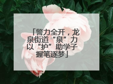 警力全开，龙泉街道“泉”力以“护”助学子握笔逐梦