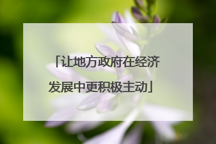 让地方政府在经济发展中更积极主动
