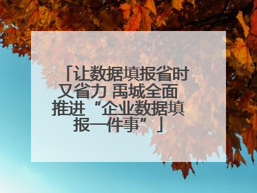 让数据填报省时又省力 禹城全面推进“企业数据填报一件事”
