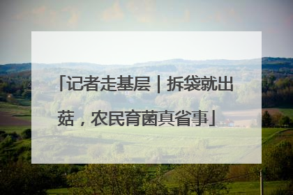记者走基层｜拆袋就出菇，农民育菌真省事