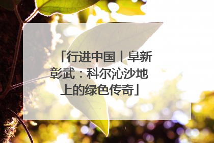 行进中国丨阜新彰武：科尔沁沙地上的绿色传奇