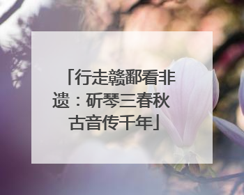 行走赣鄱看非遗：斫琴三春秋 古音传千年