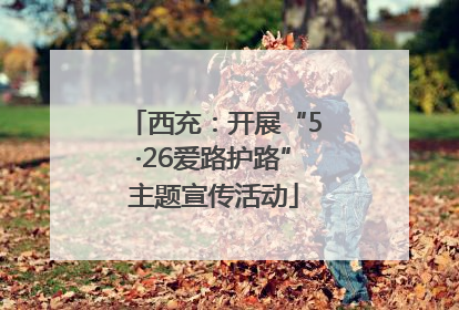 西充：开展“5·26爱路护路”主题宣传活动