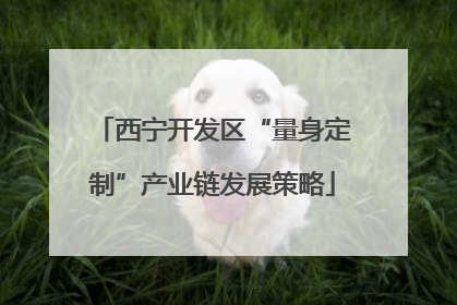 西宁开发区“量身定制”产业链发展策略