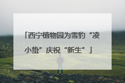 西宁植物园为雪豹“凌小蛰”庆祝“新生”