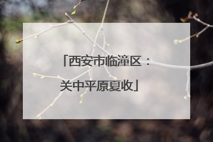 西安市临潼区：关中平原夏收