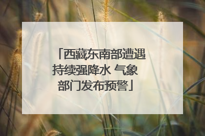 西藏东南部遭遇持续强降水 气象部门发布预警